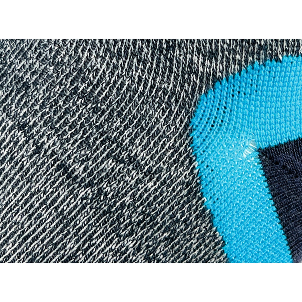 1000 Mile Approach Repreve Double Layer Sock Men's