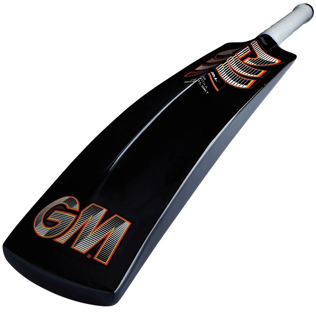 GM Rival Softball Cricket Bat