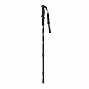 Six Peaks Rove Walking Pole (2 pcs)