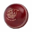 GM Catalyst Cricket Ball